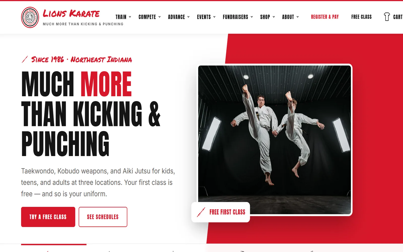 Lions Karate website